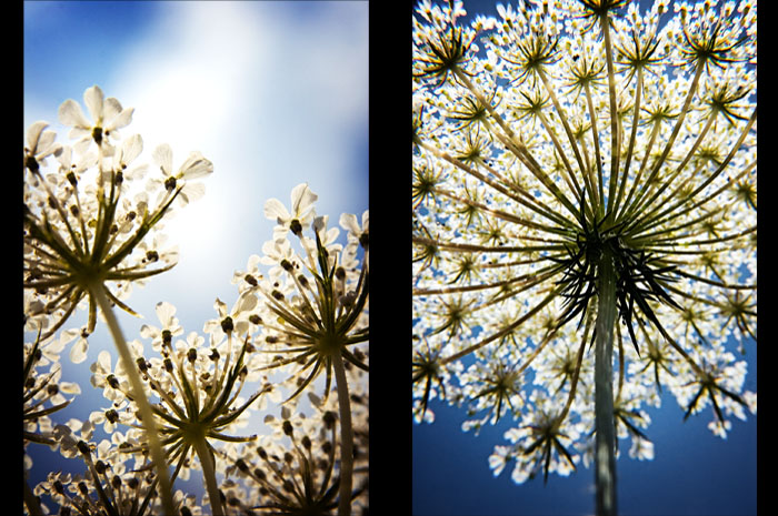 Reach for the Sky - 1 & 2