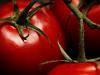 pomodoro